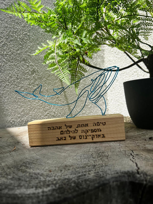 קווי מתאר