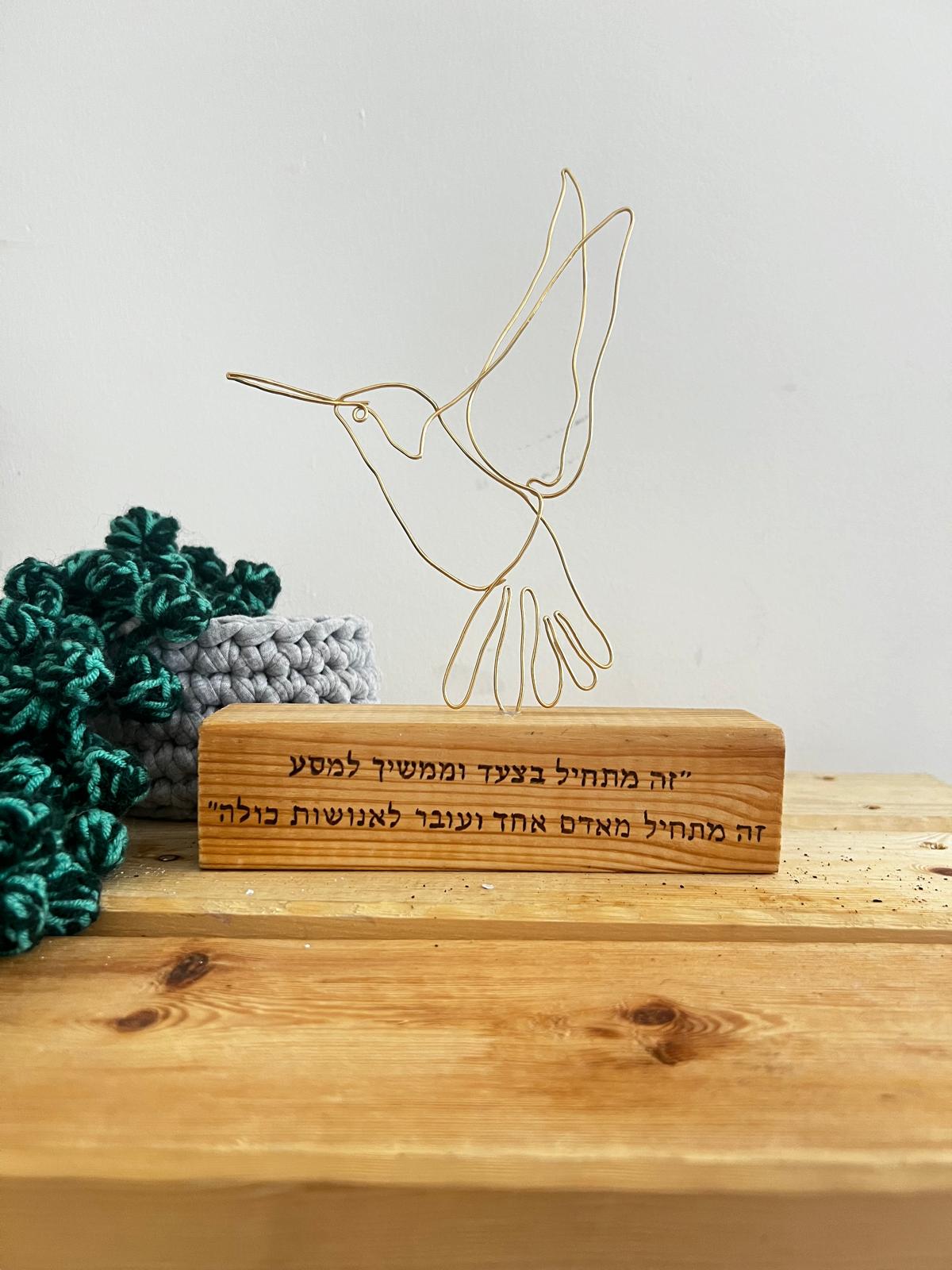 קווי מתאר