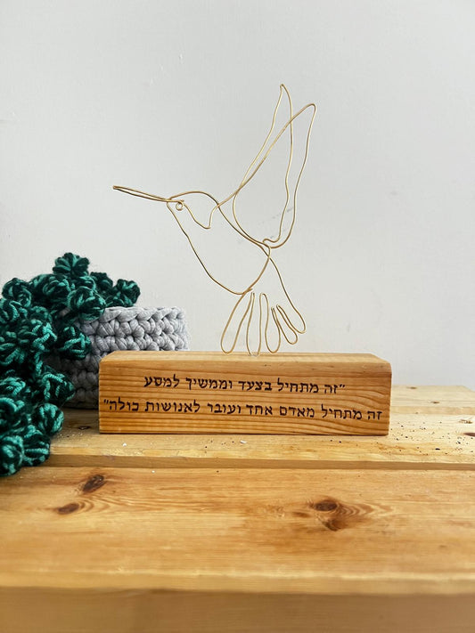 קווי מתאר